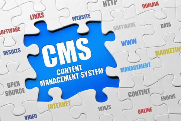 Why Choose WordPress For Your CMS?