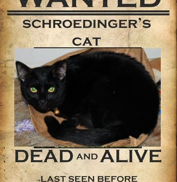 The Famous Schrodinger's Cat Paradox