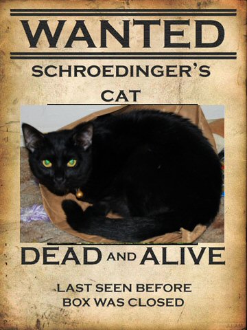 The Famous Schrodinger's Cat Paradox