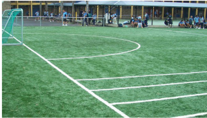 synthetic grass playing surfaces