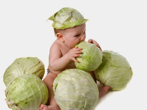 Benefits Of Eating Cabbage