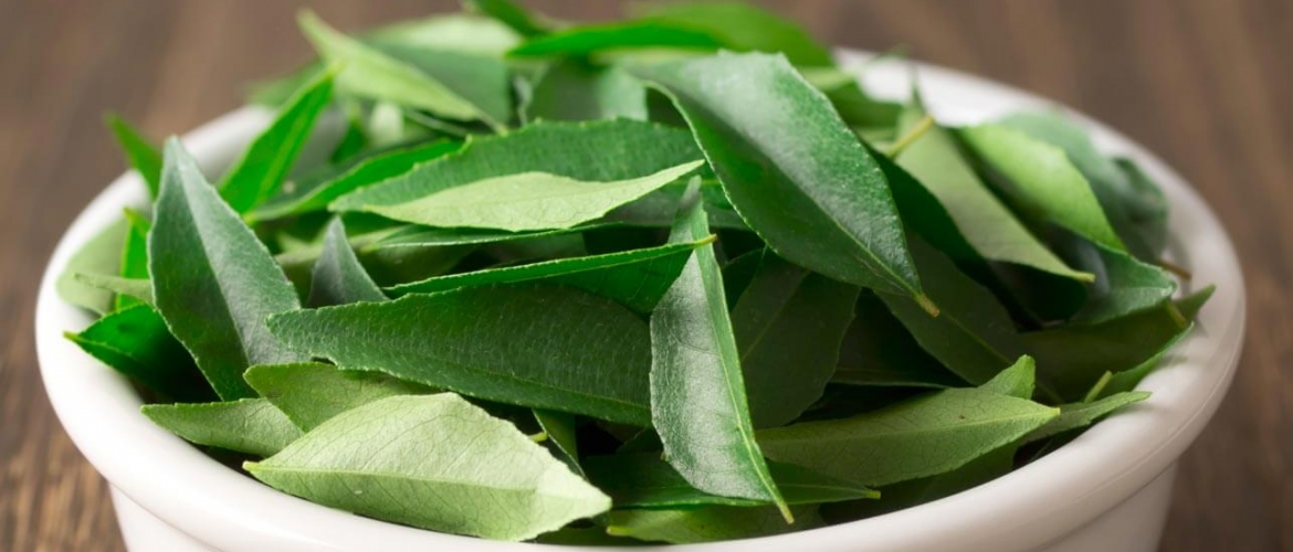 Unpopular Benefits Of Curry Leaves