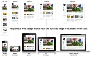responsive website design with size screen