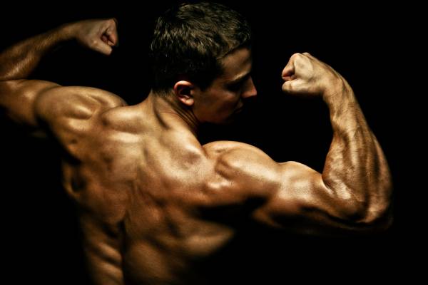 4 Practical Tips To Gain Muscle Mass Fast