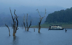 Touring The Amazing Periyar National Park