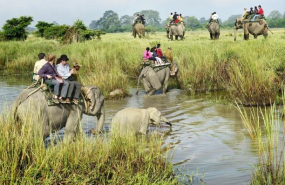 Assam: Explore The Unexplored Land