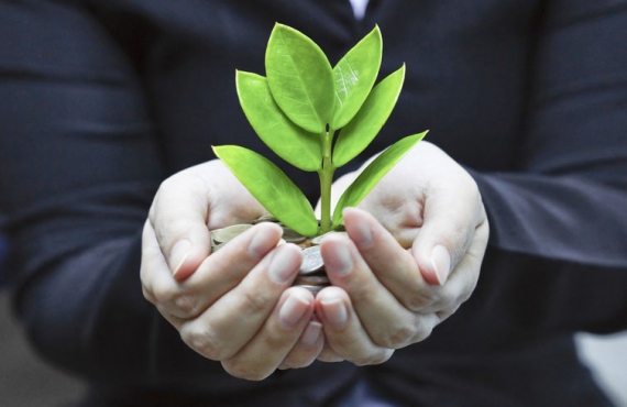 All You Want To Know About Socially Responsible Investment