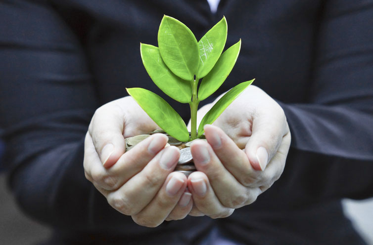 All You Want To Know About Socially Responsible Investment