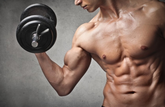 Muscle Building Strategy