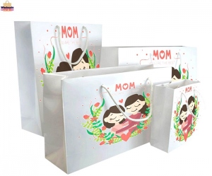 laminated gift bags and large boutique gift bag