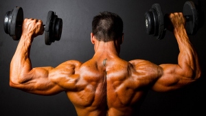 Save Your Money With Cheap Steroids