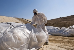 asbestos removal and disposal
